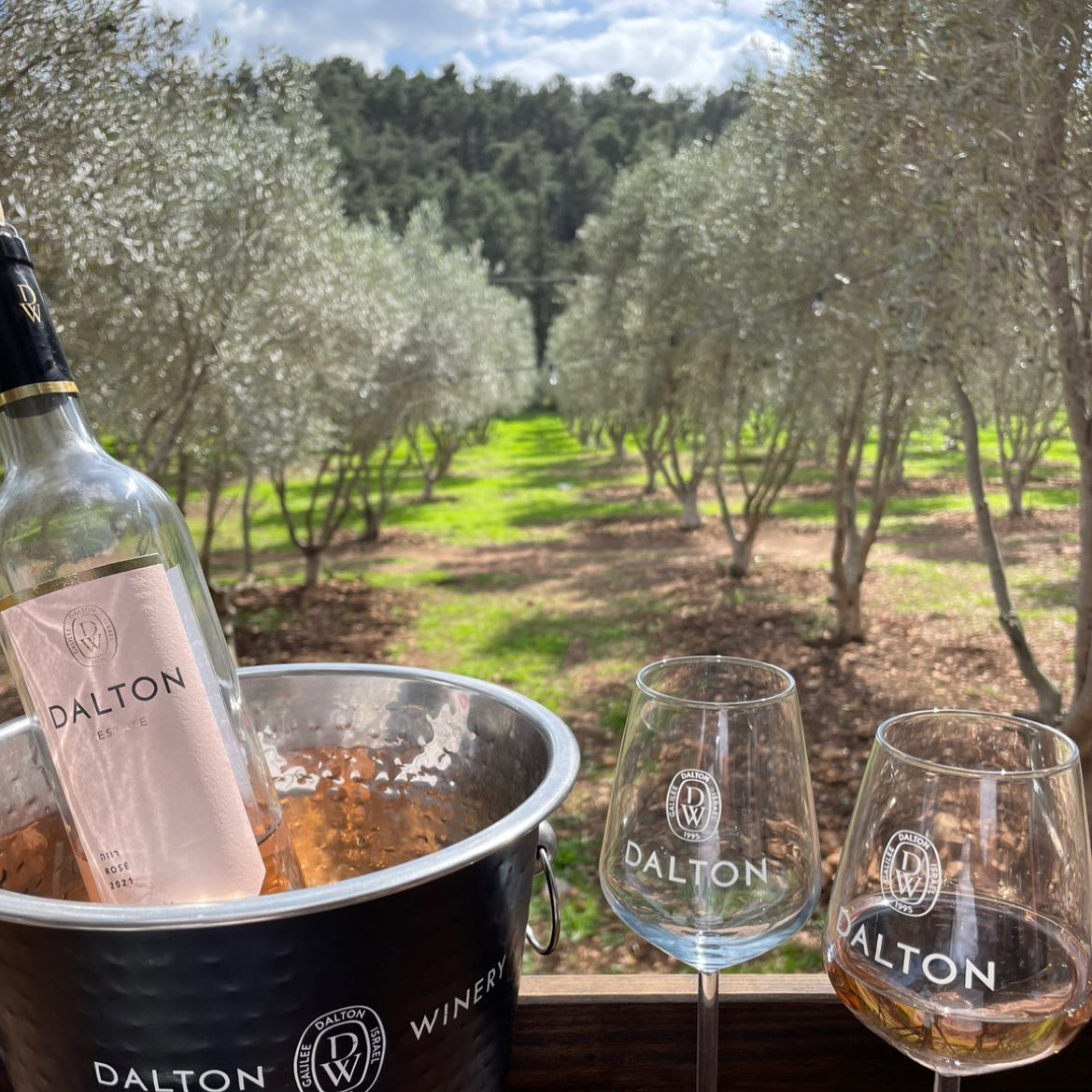 471100268_1550830502292275_773134237835316406_n